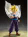 Dragon Ball Z - Super Saiyan Son Gohan (The Warrior Who Surpassed Goku) - S.H. Figuarts