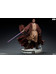 Star Wars: Episode III - Mace Windu Premium Format