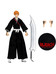 Bleach: Thousand-Year Blood War - Ichigo Kurosaki