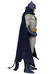 DC Direct: Super Powers - Batman (The Dark Knight Returns)